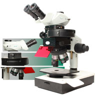 FBS10 DIC Fluorescence Microscope